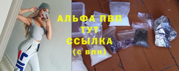 гидра Тихвин