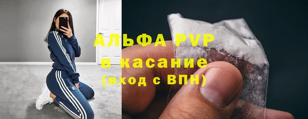 прущие грибы Туринск